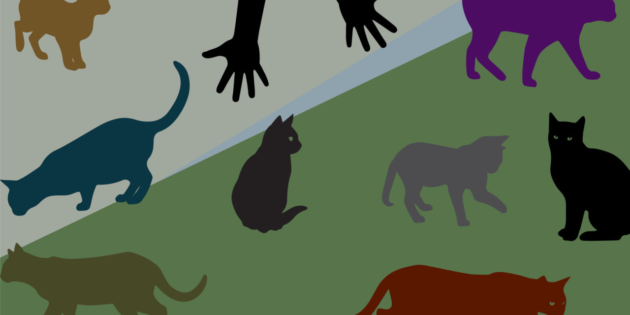 Brand Management or Herding Cats