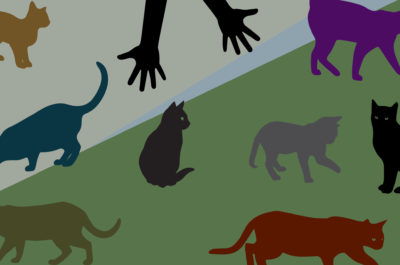 Brand Management or Herding Cats